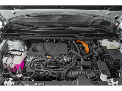 2025 Toyota Sienna Woodland