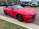 2024 Ford Mustang Convertible